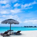 龙珠pom-pom island resort