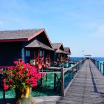 龙珠pom-pom island resort