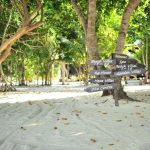 龙珠pom-pom island resort