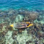 Kayaking-2 婆罗 Borneo Divers Resort